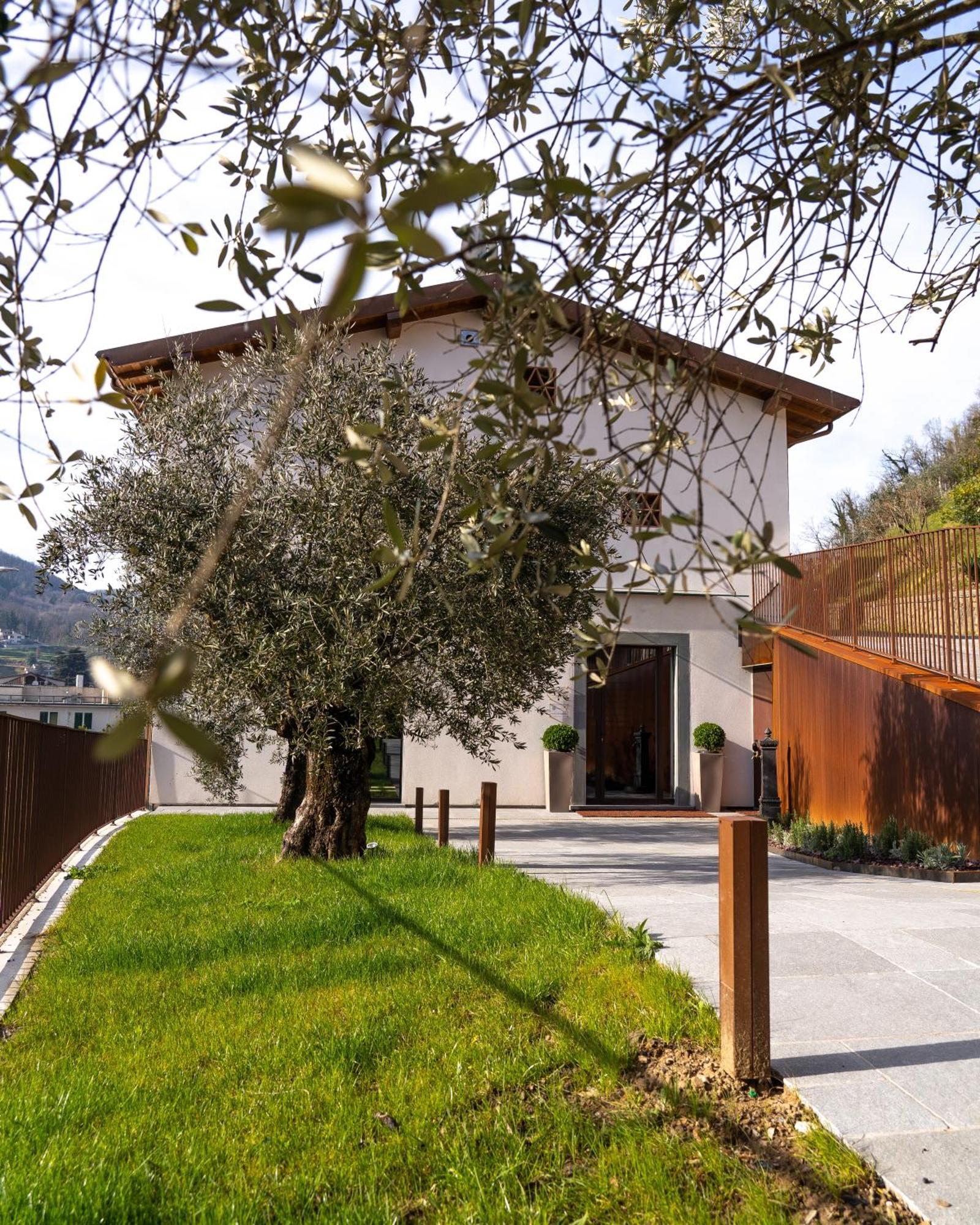 Il Pradicciolo Agriturismo Castelnuovo di Garfagnana Eksteriør billede